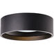 Trenton LED 5 inch Black Exterior Ceiling