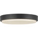 Bailey 11 inch Black Exterior Ceiling