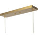 Vega LED 56 inch Brushed Gold Linear Pendant Ceiling Light