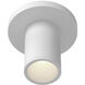 Lorna 4.38 inch Flush Mount