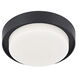 Bailey LED 5.88 inch Black Outdoor Flush Mount