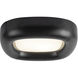 Folio 14.5 inch Black Flush Mount Ceiling Light