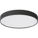 Rynn 7.13 inch Black Flush Mount Ceiling Light