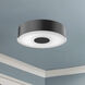 Parker LED 9.75 inch Black Flush Mount Ceiling Light