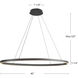 Ovale Linear Pendant Ceiling Light in Black