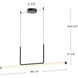 Vesper LED 48.25 inch Black Linear Pendant Ceiling Light