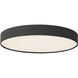 Rynn 7.13 inch Black Flush Mount Ceiling Light