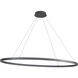 Ovale Linear Pendant Ceiling Light in Black