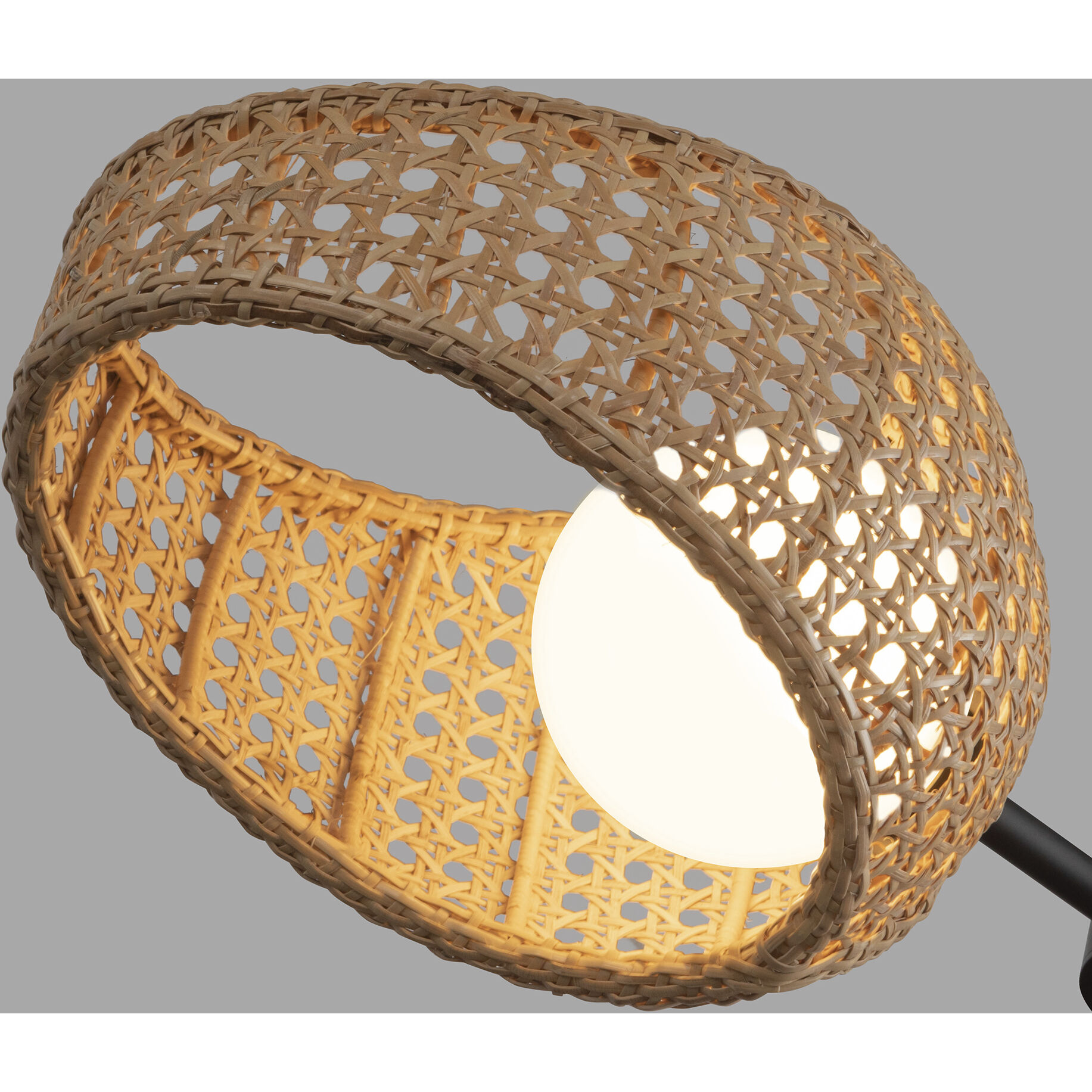 Lanai Pendant Ceiling Light