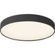 Rynn 7.13 inch Black Flush Mount Ceiling Light