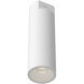Lorna 4.38 inch Flush Mount