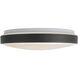 Yanis 15.13 inch Black Flush Mount Ceiling Light