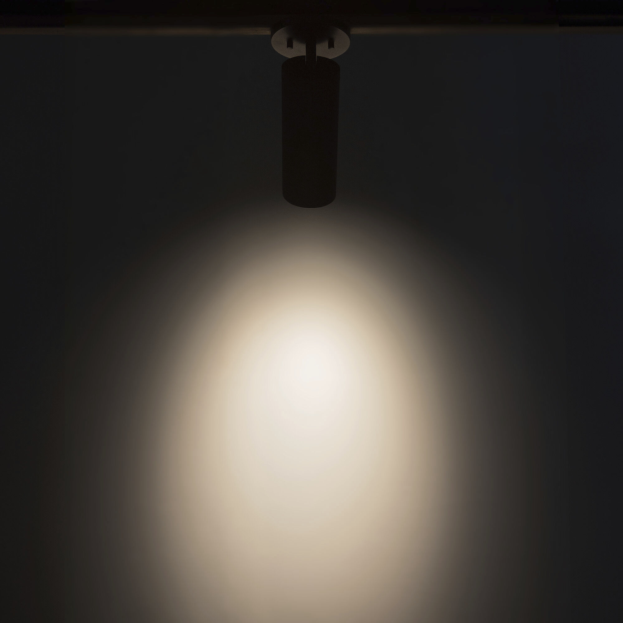 Lorna LED 4.38 inch Black Adjustable Ceiling Mount Ceiling Light