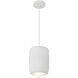 Hayden Pendant Ceiling Light in Antique White