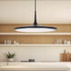 Disc LED 16.5 inch Black Pendant Ceiling Light