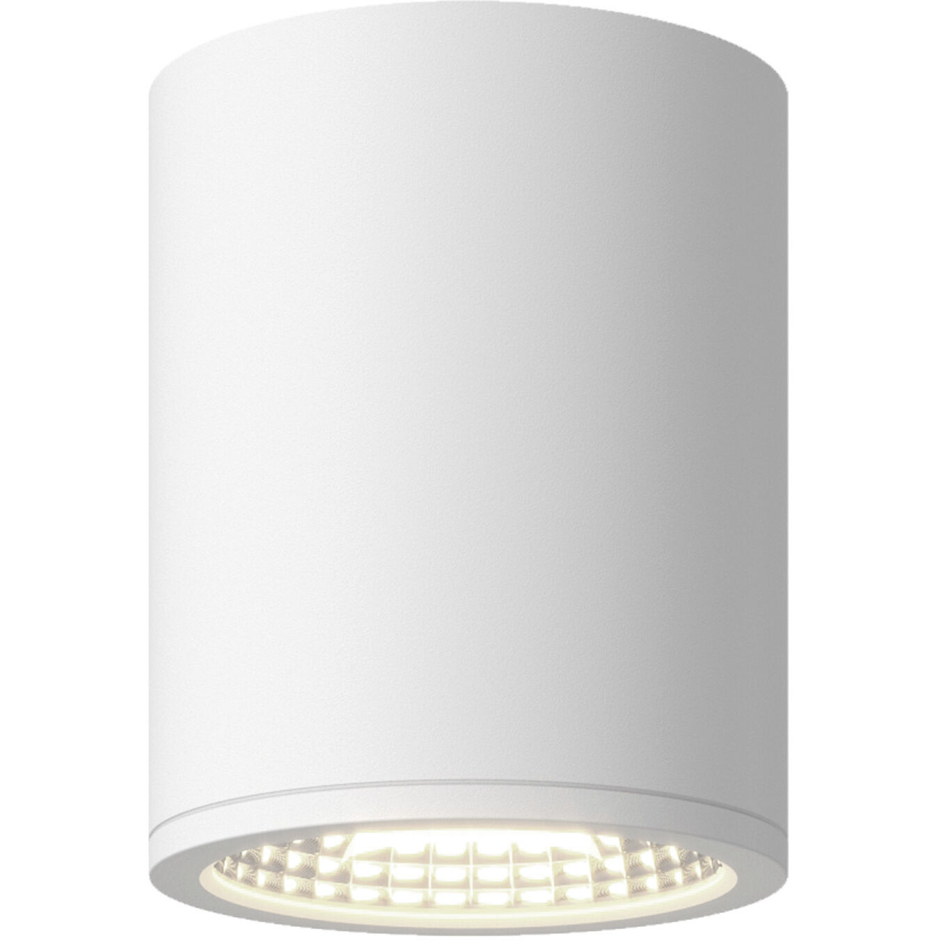 Nordic 5.00 inch Outdoor Ceiling Light