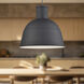 Irving 1 Light 21.75 inch Black Pendant Ceiling Light