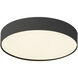 Rynn 5.25 inch Black Flush Mount Ceiling Light