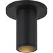 Lorna LED 4.38 inch Black Ceiling Mount Ceiling Light