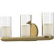 Birch LED 19 inch Brushed Gold Bath Vanity Light Wall Light