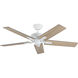 Erikson Indoor Ceiling Fan