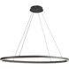 Ovale Linear Pendant Ceiling Light in Black