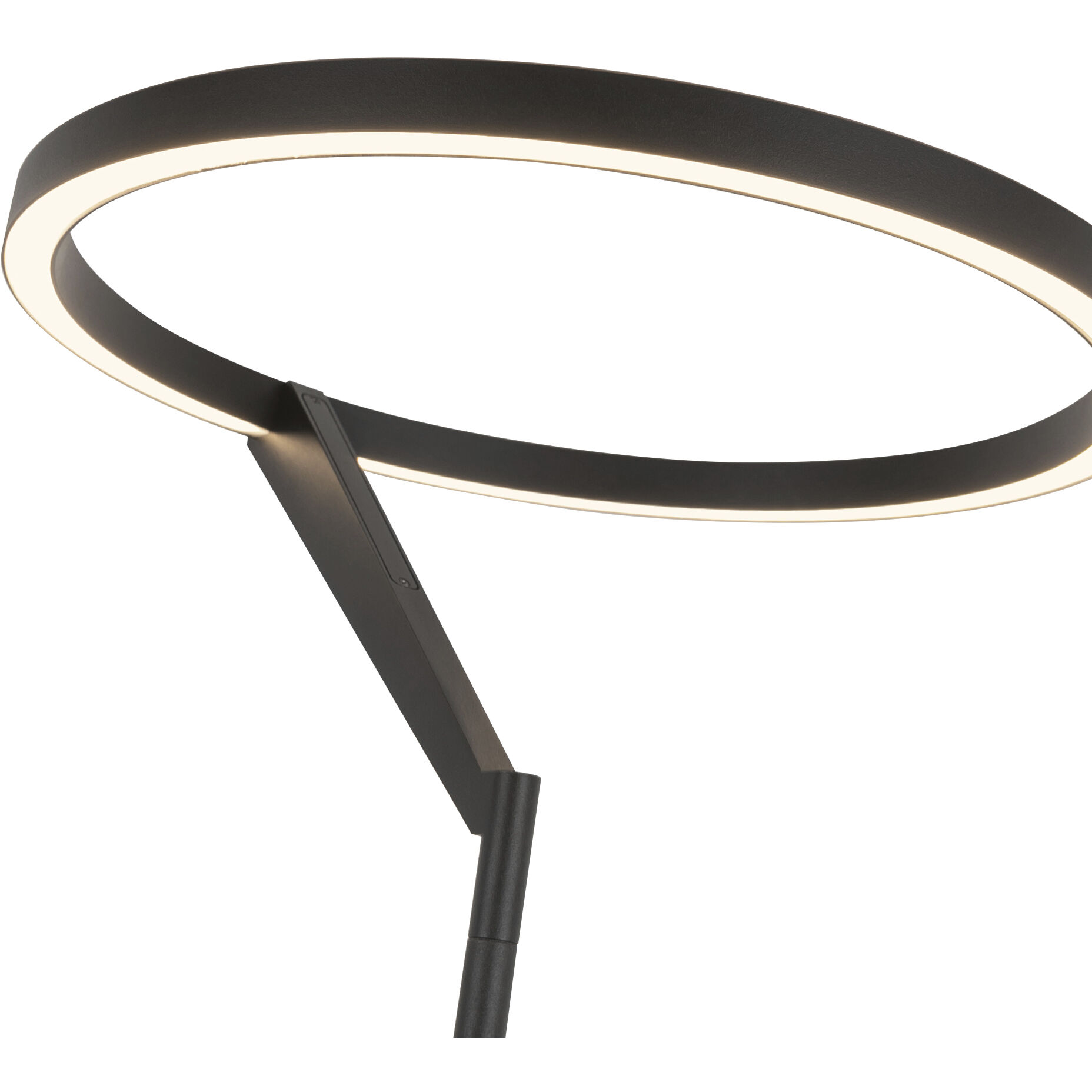 Roda 66.25 inch 25.00 watt Black Floor Lamp Portable Light