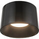 Etta LED 19.75 inch Jet Black Flush Mount Ceiling Light