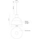 Irving 1 Light 21.75 inch Black Pendant Ceiling Light