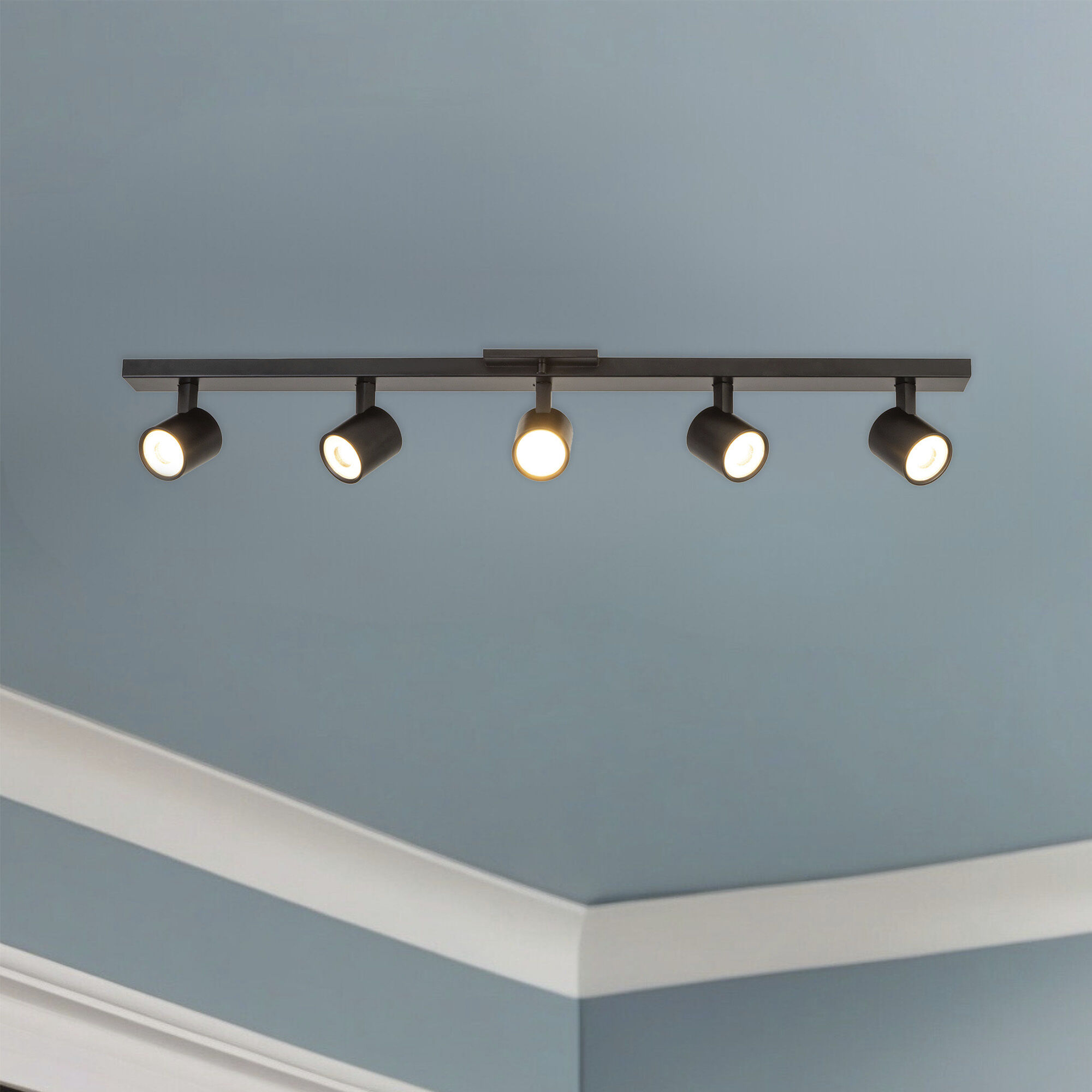 Arnold 120-277V Black Track Light Ceiling Light