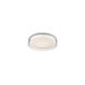 Aston LED 18 inch Clear Flush Mount Ceiling Light