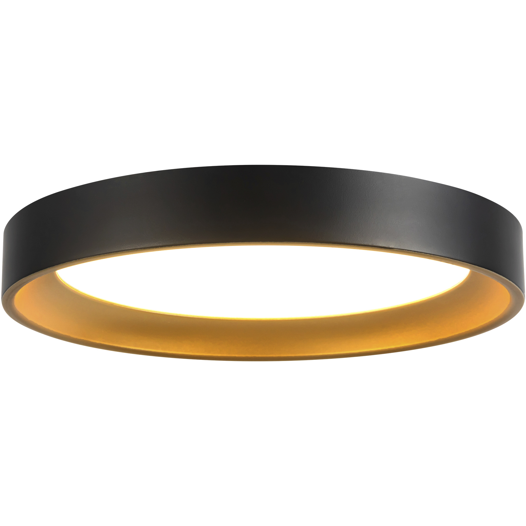Nix 9 inch Black and Gold Flush Mount Ceiling Light