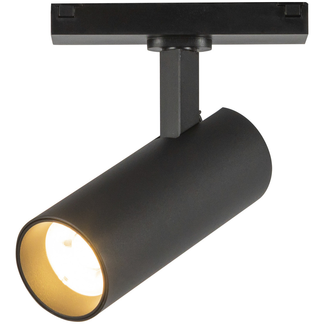 Paolo 48V DC Black Trilo Track Directional Light Ceiling Light in Black Baffle, 3000K