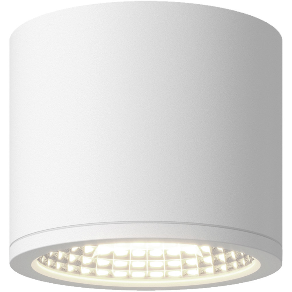 Nordic LED 5 inch White Exterior Ceiling