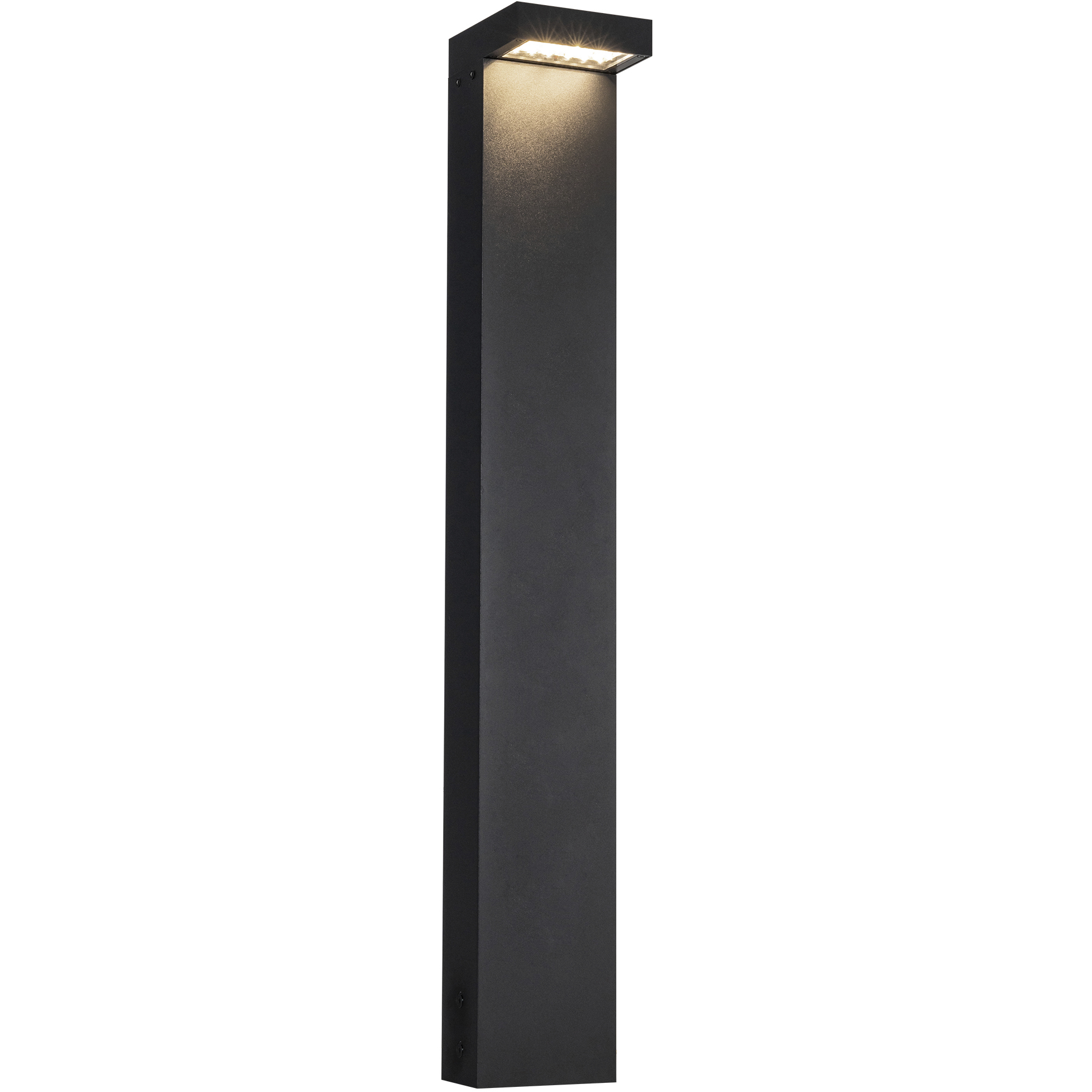 Evans 120-277V 24 watt Black Exterior Bollard