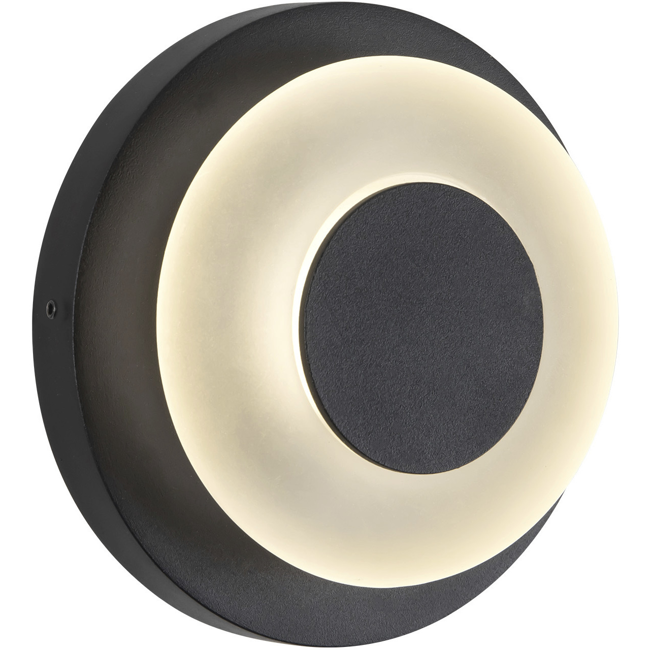 Stephord Black Exterior Wall Sconce in Frosted Glass