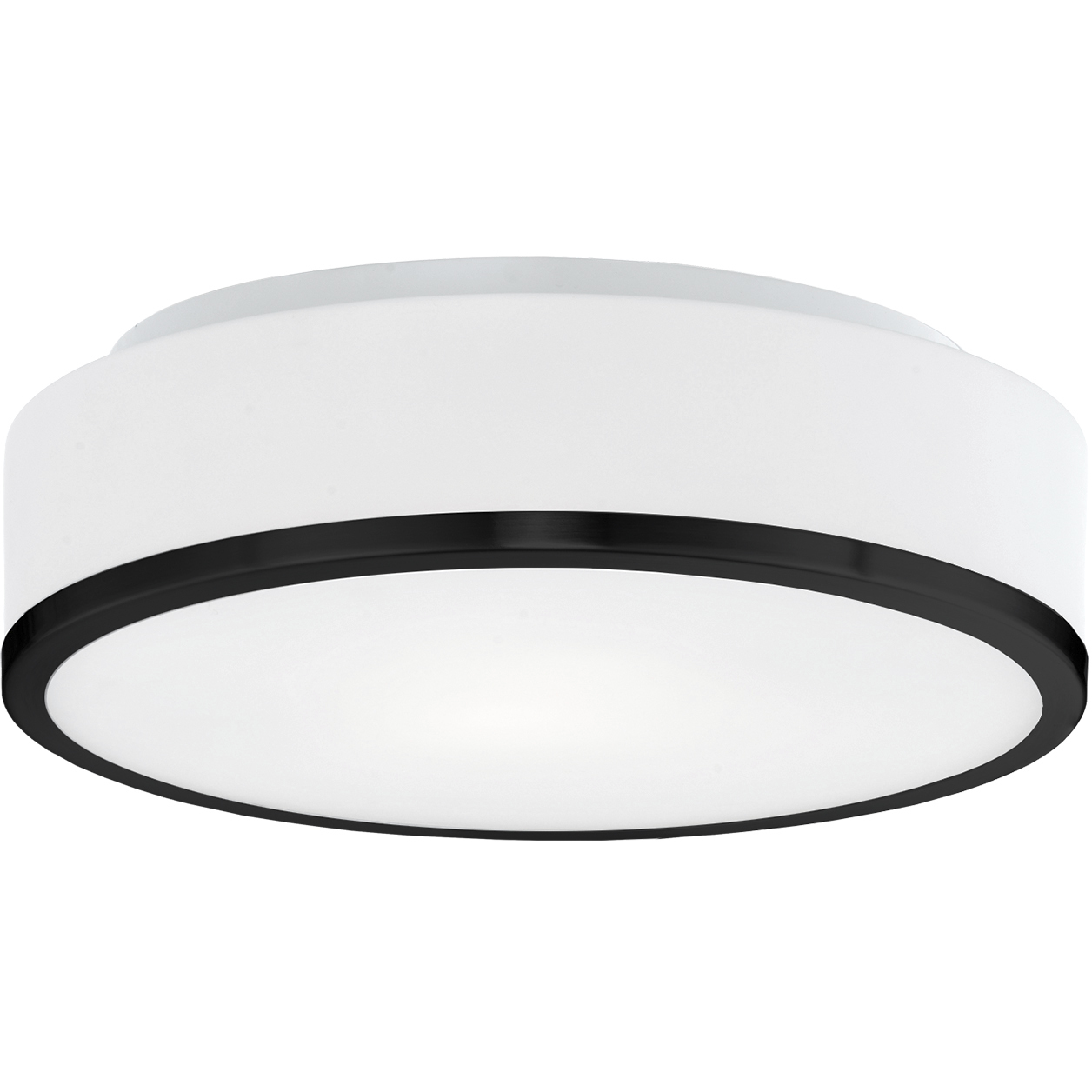 Charlie 2 Light 11.5 inch Black Flush Mount Ceiling Light