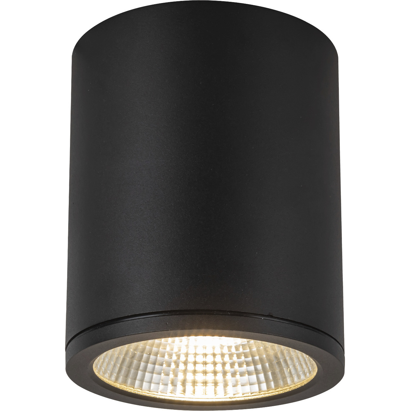 Nordic LED 5 inch Black Exterior Ceiling