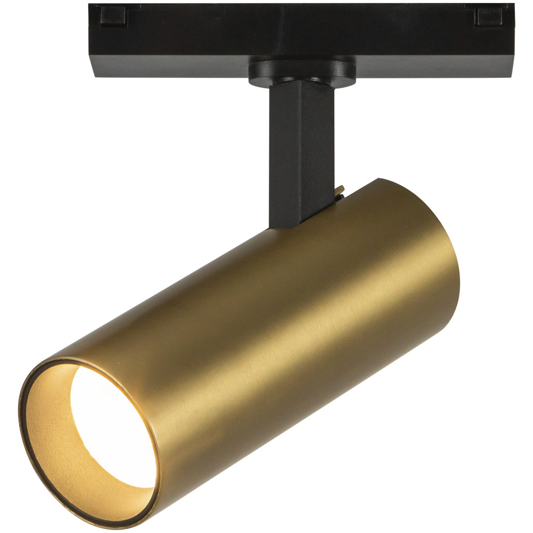 Paolo 48V DC Brushed Gold Trilo Track Directional Light Ceiling Light in Black Baffle, 3000K