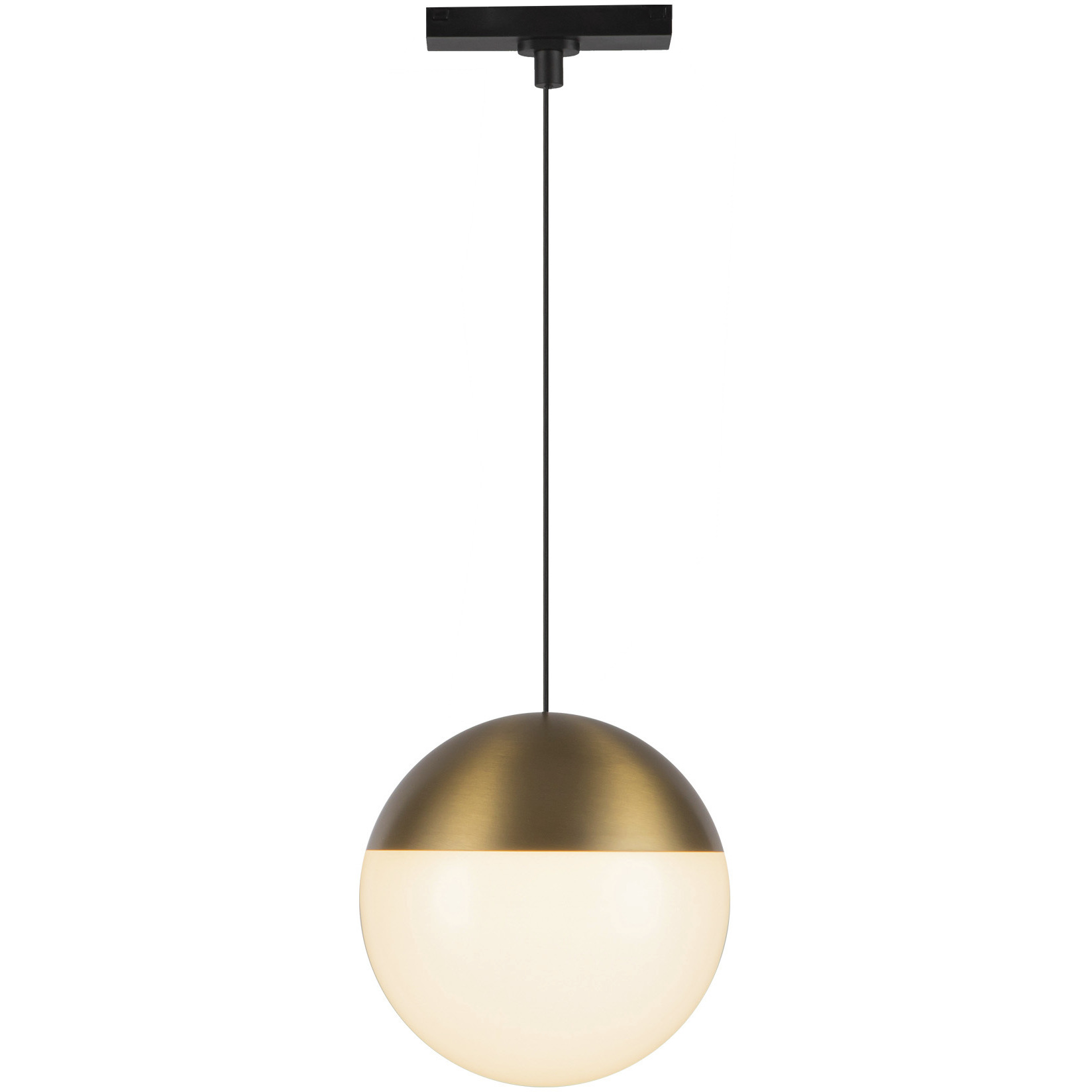 Monae 48V DC Brushed Gold Trilo Track Pendant Ceiling Light in 3000K